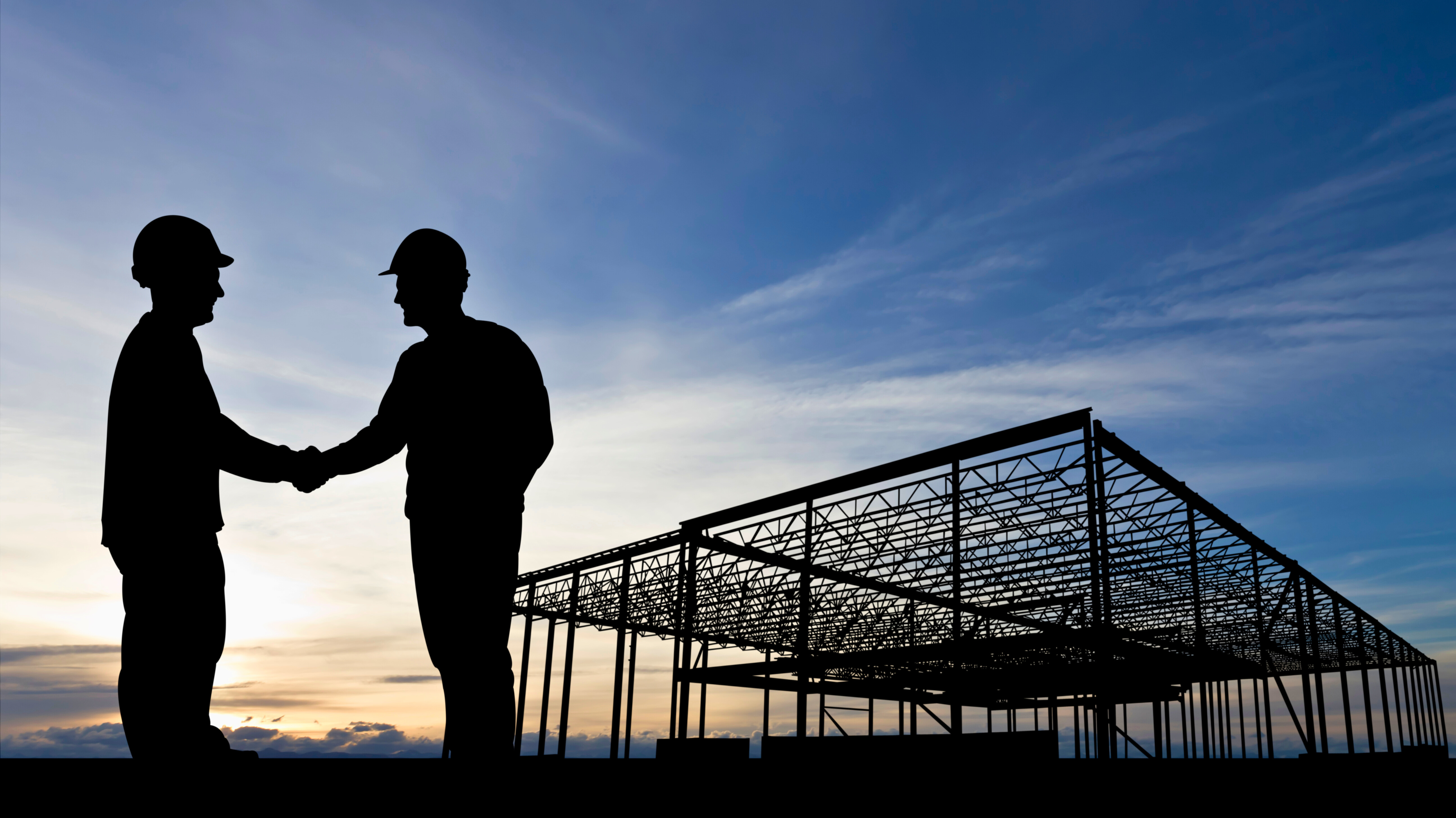 Construcción profesional